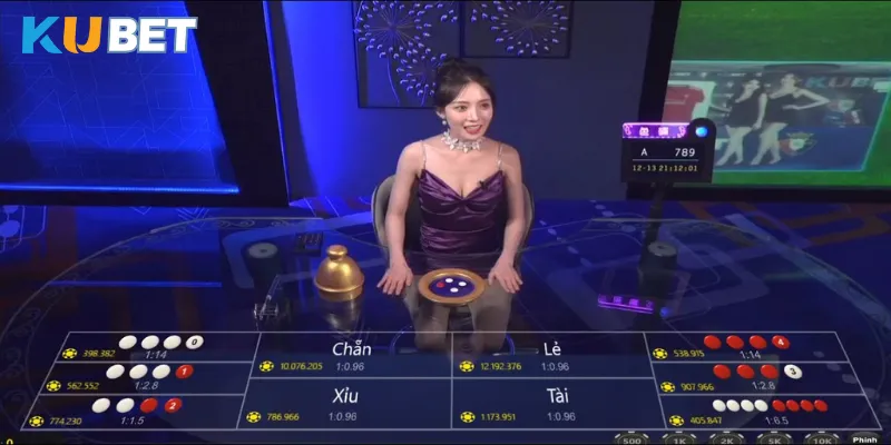 Đội ngũ hỗ trợ khách hàng hoạt động 24/7